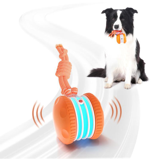 🎁Now 50% OFF! CZTICLE® 🐾  Dog Toy – Relaxed, Happy Pets All Day!