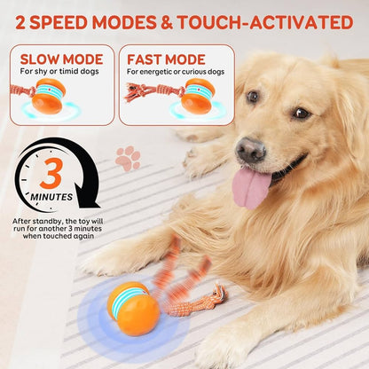 🎁Now 50% OFF! CZTICLE® 🐾  Dog Toy – Relaxed, Happy Pets All Day!