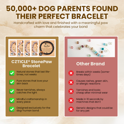 CZTICLE® StonePaw Bracelet