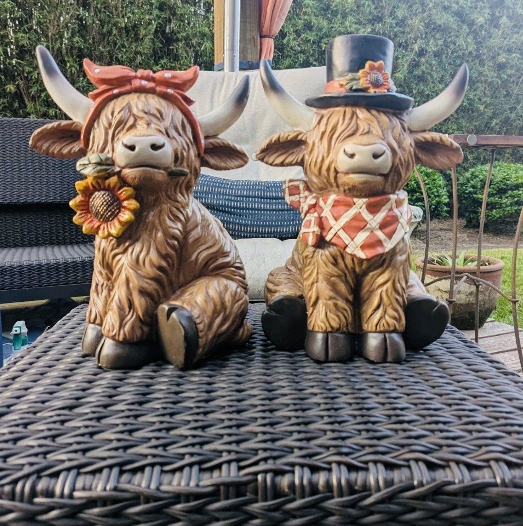 Set of 2 🎁(Save 10%)