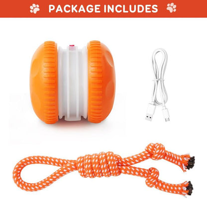 🎁Now 50% OFF! CZTICLE® 🐾  Dog Toy – Relaxed, Happy Pets All Day!